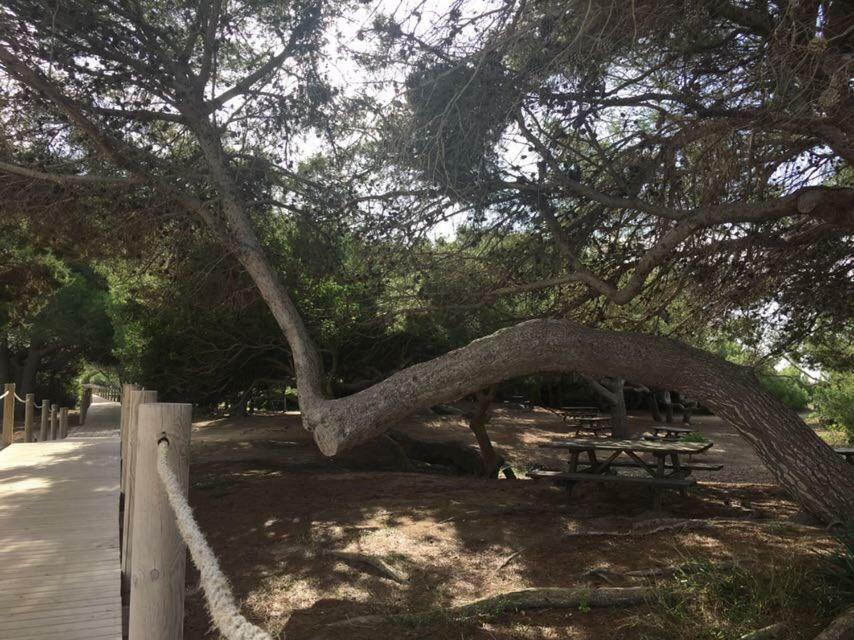 Apartamento El Descanso سون بو المظهر الخارجي الصورة